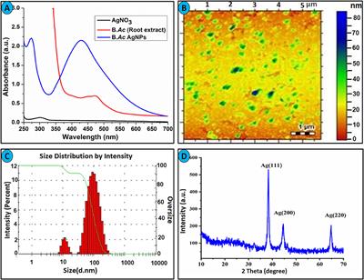 Dual Colorimetric Sensor for Hg2+/Pb2+ and an Efficient Catalyst Based on Silver Nanoparticles Mediating by the Root Extract of Bistorta amplexicaulis